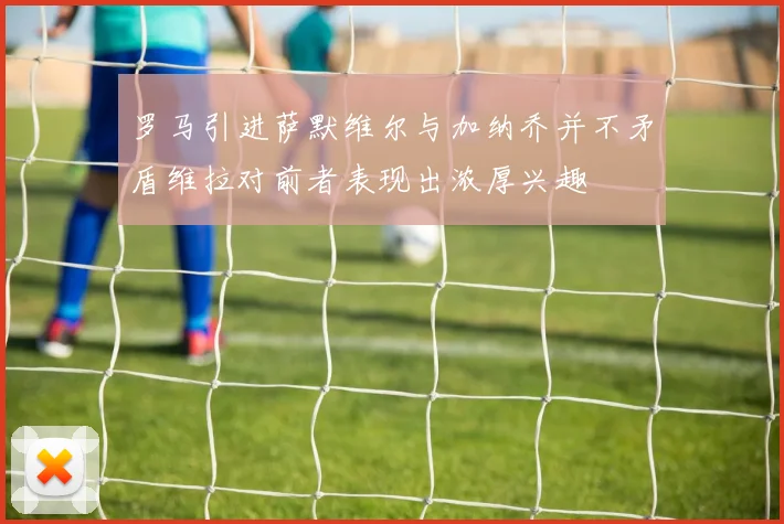 罗马引进萨默维尔与加纳乔并不矛盾维拉对前者表现出浓厚兴趣